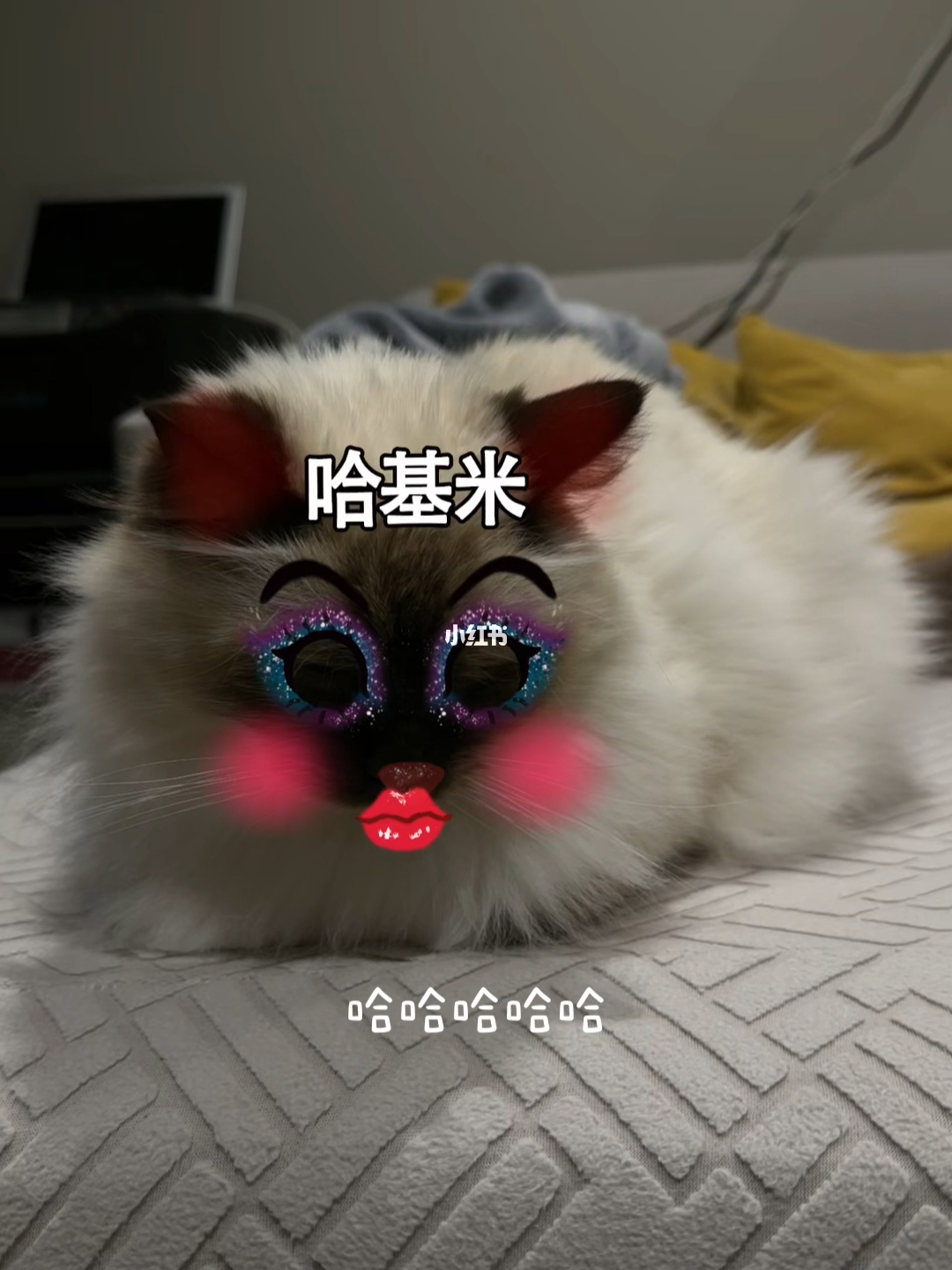 硬核工科生的萌系浪漫，自制哈基米关灯神器，让黑夜一键降临