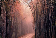 从年少有为到嫁作人妇，歌手陈雪凝的婚礼与人生新篇章