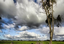 从年少有为到嫁作人妇，歌手陈雪凝的婚礼与人生新篇章