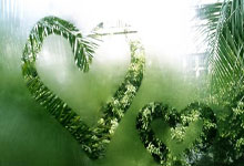 喉咙痛致命警报，一男子从咽喉不适到进ICU，仅1小时！