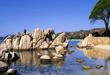 哈梅内伊，特朗普应被视为犯罪